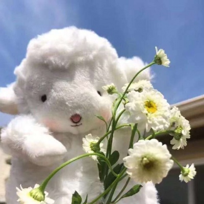 简单温暖静物微信头像(共22张)