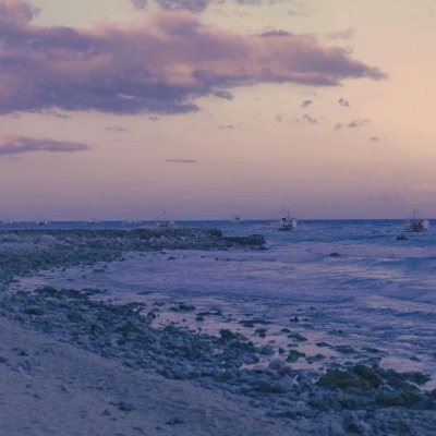 简单温暖静物微信头像(共22张)