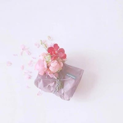 高清清新的干净简单静物头像图片(共20张)