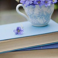 高清清新的干净简单静物头像图片(共20张)