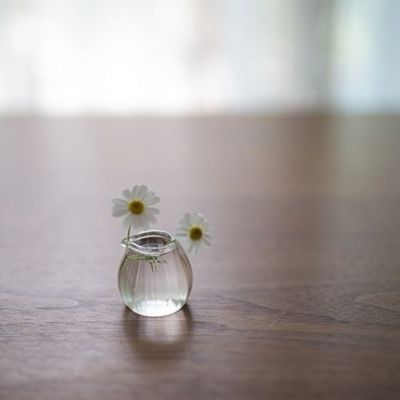 阳光干净的微信头像(20张)