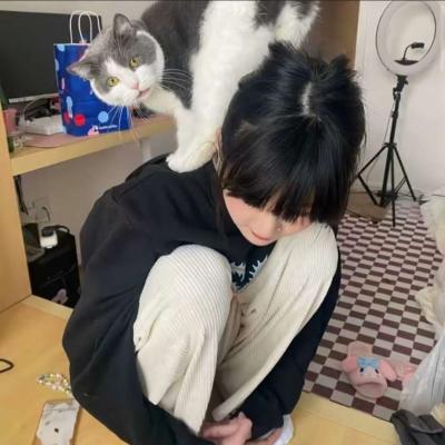 好看又有魅力的微信头像(优选18张)