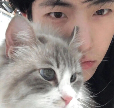 男生比较喜欢的头像(20张)