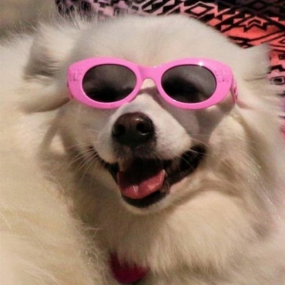 有没有又搞怪又可爱的微信头像(共14张)