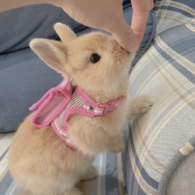 有没有又搞怪又可爱的微信头像(共14张)