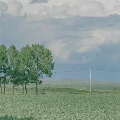 2023适合永久做头像的图片(共22张)