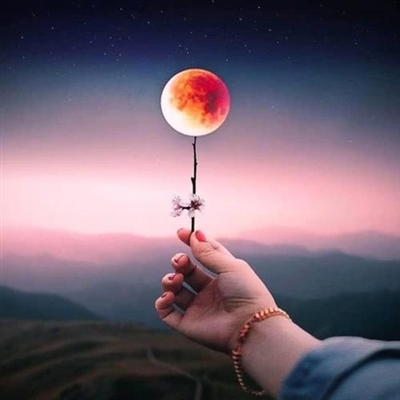 高清好看适合一辈子不换的头像图片大全(精选20张)