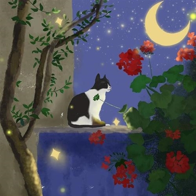 一辈子不用换的高质量头像(精选18张)