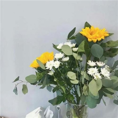 又简单又好看的头像(优选24张)