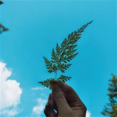 又简单又好看的头像(优选24张)