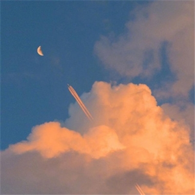 又简单又好看的头像(优选24张)