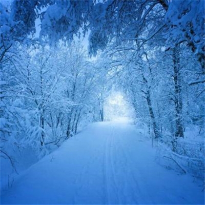 又简单又好看的头像(优选24张)