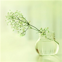 清新淡雅的图片头像(33张)