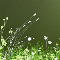 清新淡雅的图片头像(33张)