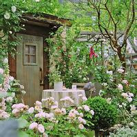 清新淡雅的图片头像(33张)