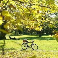 清新淡雅的图片头像(33张)