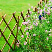 清新淡雅的图片头像(33张)