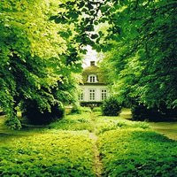 清新淡雅的图片头像(33张)