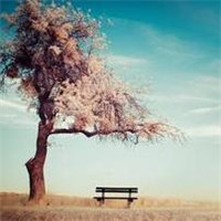 清新淡雅的图片头像(33张)