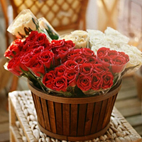 清新淡雅花朵微信头像(优选24张)