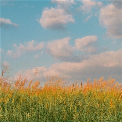 预示着发财和好运的头像(精选40张)