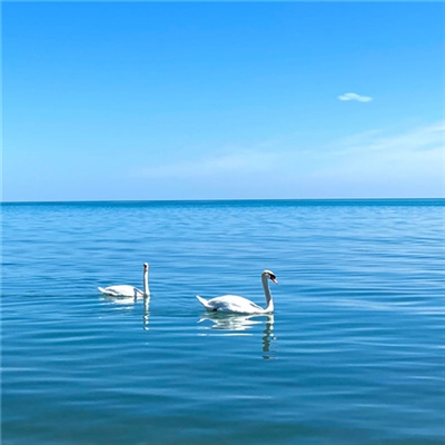 预示着发财和好运的头像(精选40张)