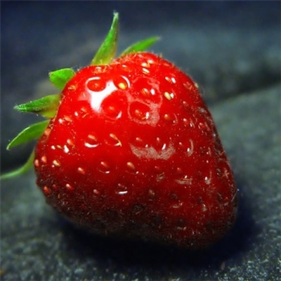 预示着发财和好运的头像(精选40张)