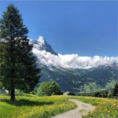 预示着发财和好运的头像(精选40张)