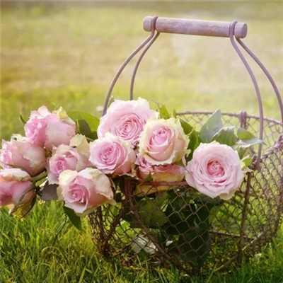 最新版微信头像图片(优选22张)