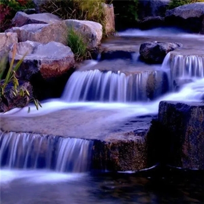 最新版微信头像图片(优选22张)