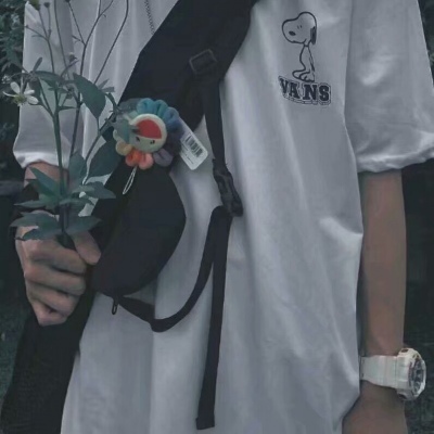 成熟稳重风格的头像(30张)