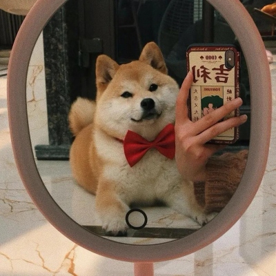 可爱萌宠情侣头像两张(共18张)