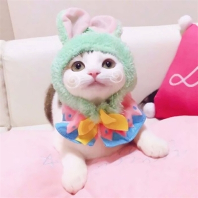 可爱萌宠情侣头像两张(共18张)