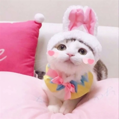 可爱萌宠情侣头像两张(共18张)