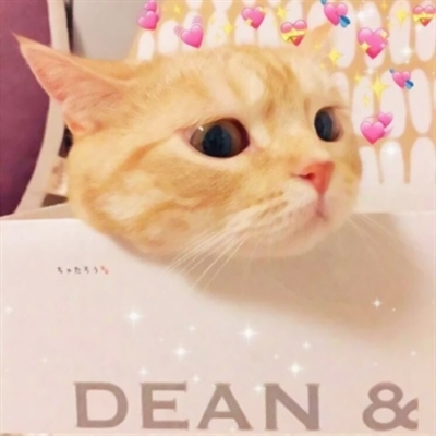 可爱萌宠情侣头像两张(共18张)