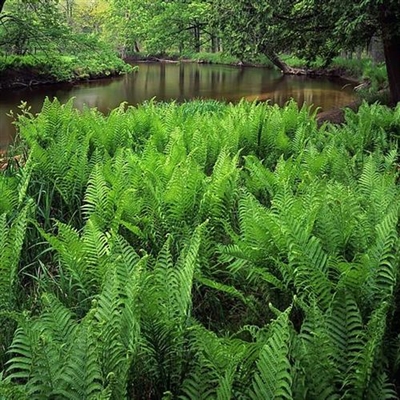 带正能量的风景图片头像(精选36张)