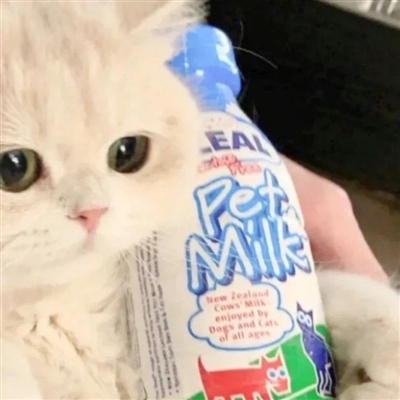 可爱到爆的情侣头像(优选18张)