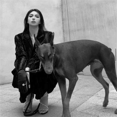 最新高清黑白高冷女头(优选20张)