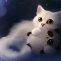 可爱的小猫图片头像(精选18张)