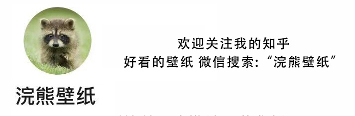 微信头像原图图片大全(86张)