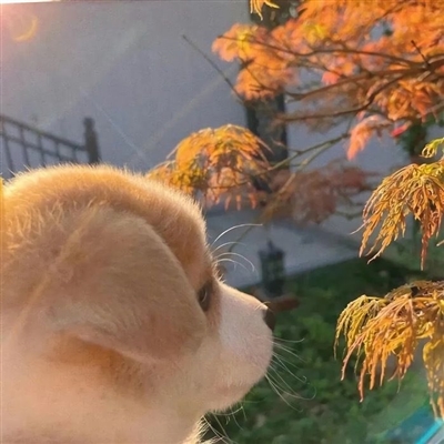 七夕情人节简单好看的情侣头像大全图片(34张)