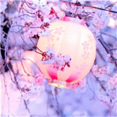 适合三四十岁女人用的头像(共20张)