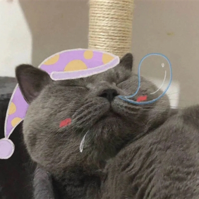 二零二零年最火的情侣头像(24张)