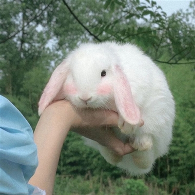 全网最美情侣头像图片(精选22张)