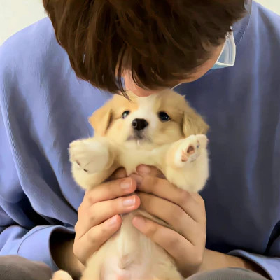 氛围感强的情侣头像(共20张)