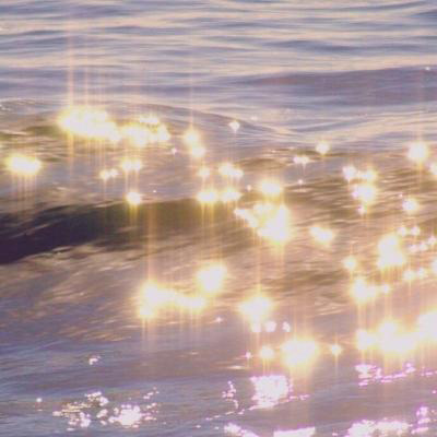 花朵风景美图微信头像(共26张)