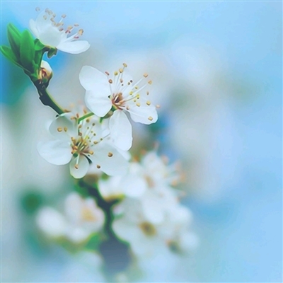 好看的高清微信头像图片大全(24张)