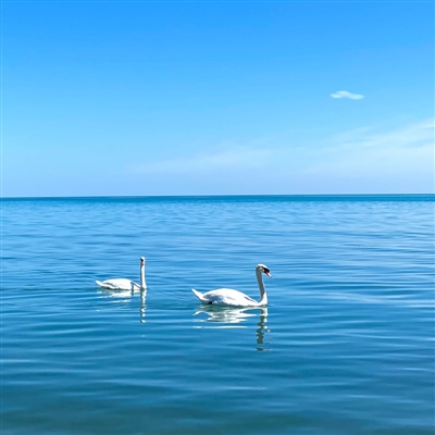 好看的高清微信头像图片大全(24张)