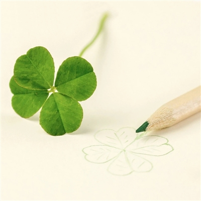 好看的高清微信头像图片大全(24张)