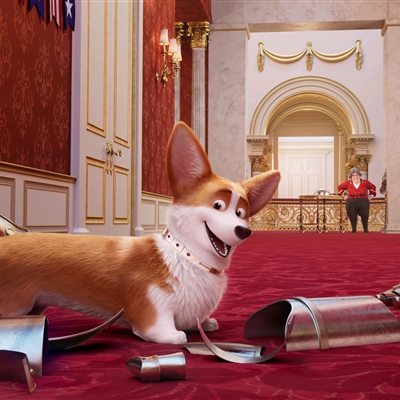 高颜值汪星人帅气头像精选图片(共20张)